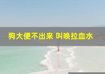 狗大便不出来 叫唤拉血水